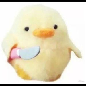 Meet your Posher, Kyra